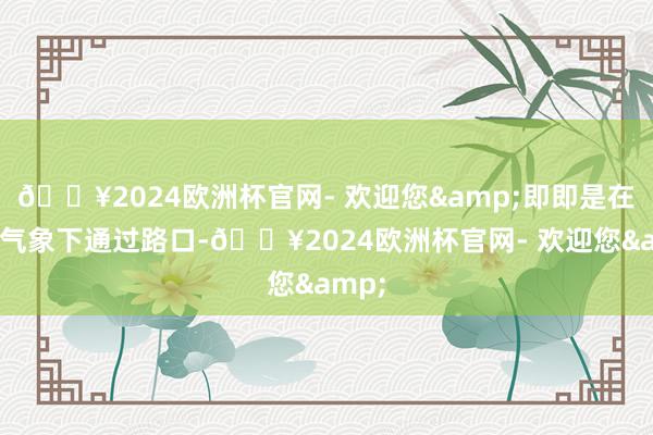 🔥2024欧洲杯官网- 欢迎您&即即是在绿灯气象下通过路口-🔥2024欧洲杯官网- 欢迎您&