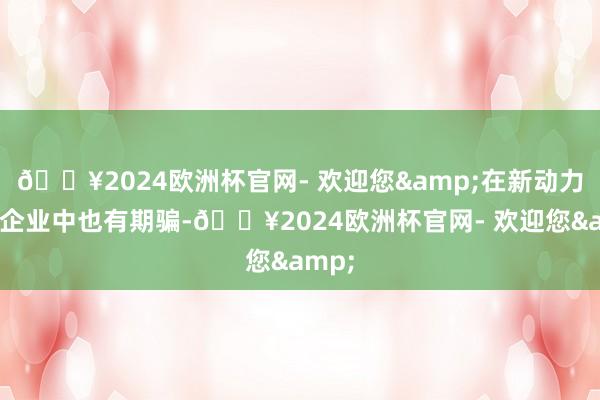 🔥2024欧洲杯官网- 欢迎您&在新动力汽车企业中也有期骗-🔥2024欧洲杯官网- 欢迎您&