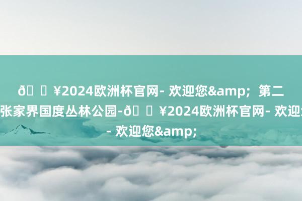 🔥2024欧洲杯官网- 欢迎您&  第二天：深远张家界国度丛林公园-🔥2024欧洲杯官网- 欢迎您&