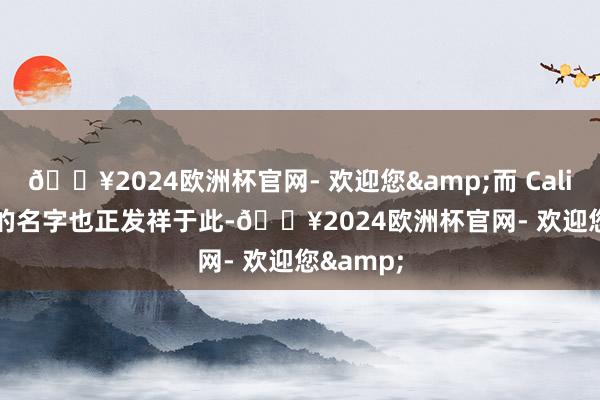 🔥2024欧洲杯官网- 欢迎您&而 California 的名字也正发祥于此-🔥2024欧洲杯官网- 欢迎您&