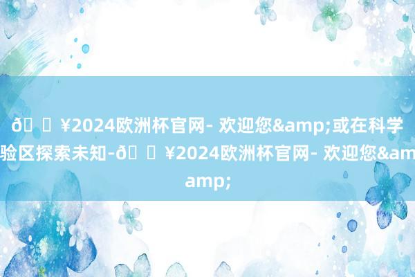 🔥2024欧洲杯官网- 欢迎您&或在科学实验区探索未知-🔥2024欧洲杯官网- 欢迎您&