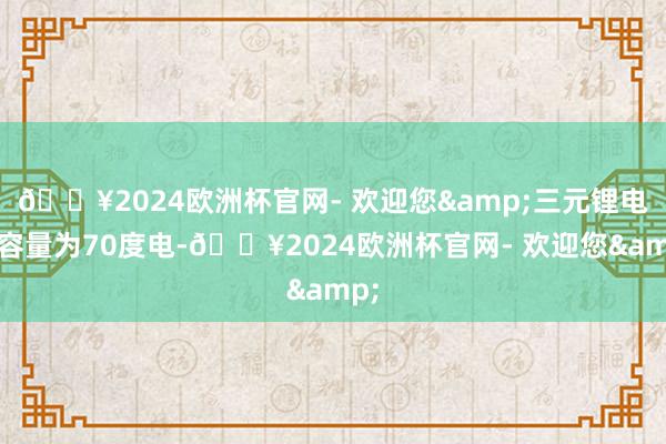 🔥2024欧洲杯官网- 欢迎您&三元锂电板容量为70度电-🔥2024欧洲杯官网- 欢迎您&