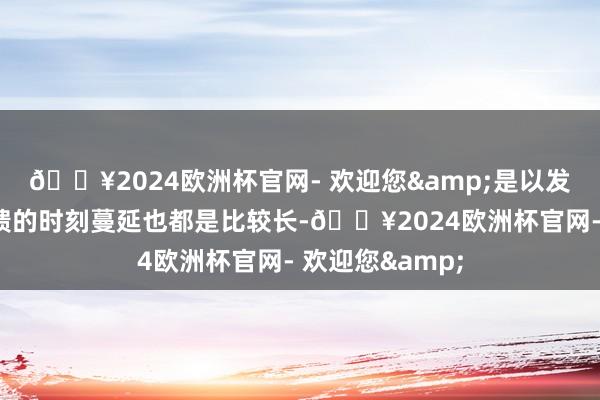 🔥2024欧洲杯官网- 欢迎您&是以发问的话通盘反馈的时刻蔓延也都是比较长-🔥2024欧洲杯官网- 欢迎您&